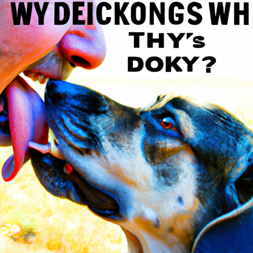 Why Do Dogs Lick Their Owners?