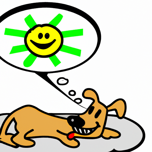 Why Do Dogs Like Laying in the Sun?