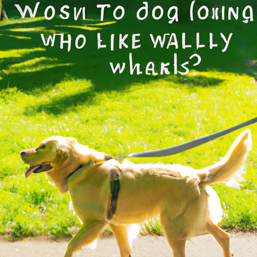 Why Do Dogs Love Walks?