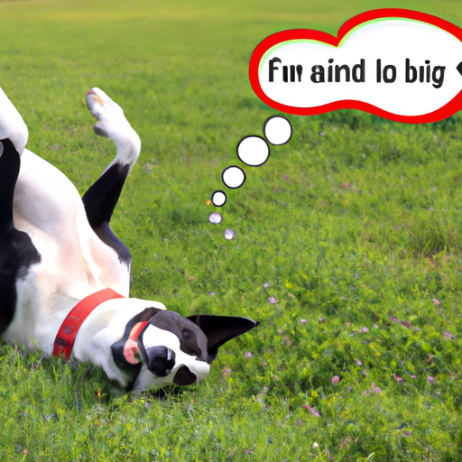 Why Do Dogs Roll On Their Back In Grass?