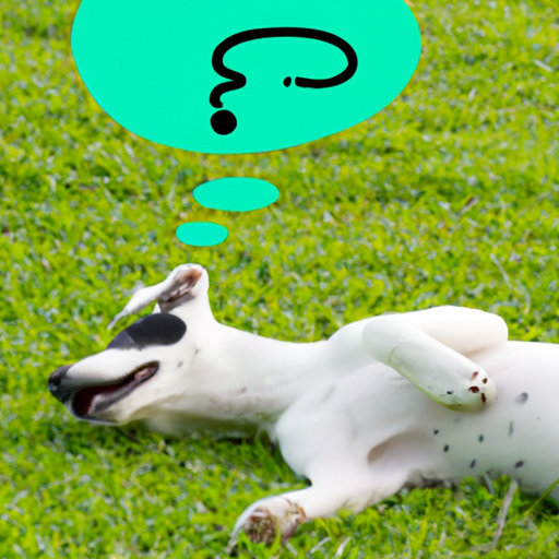 Why Do Dogs Rub Themselves on Grass?