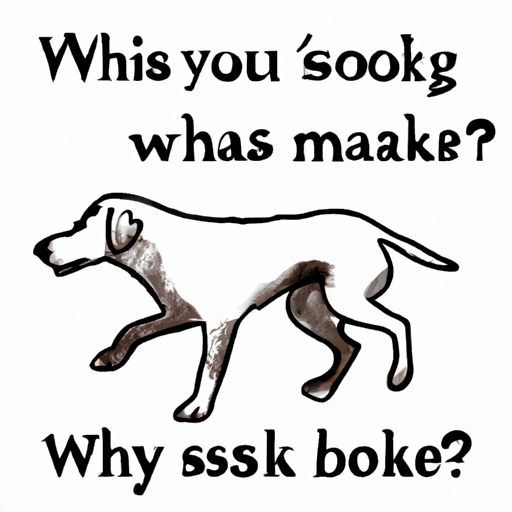 Why Do Dogs Shake Their Whole Body?