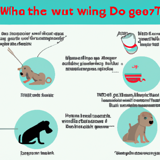 Why Do Dogs Throw Up After Drinking Water? One Top Dog