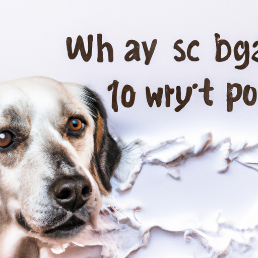 Why Do Dogs Vomit White Foam?