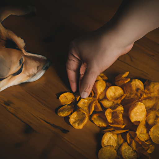 Why Does My Dog’s Paws Smell Like Fritos?