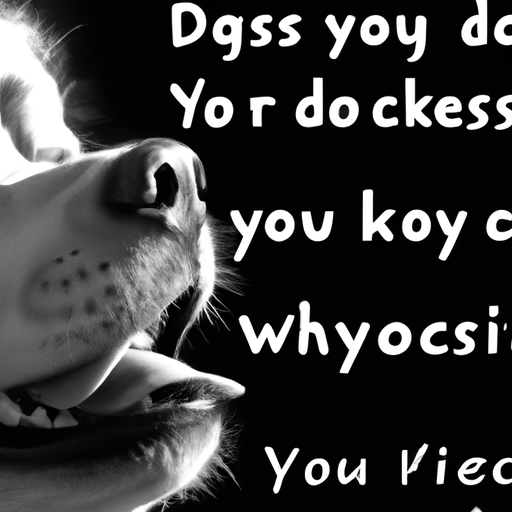 Why Dogs Lick Your Face