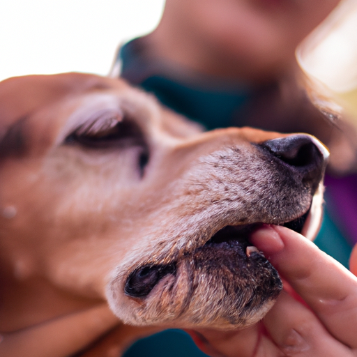 why-is-my-dog-s-mouth-swollen-one-top-dog