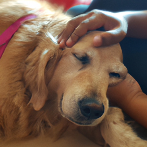 **¿Los perros saben cuando estás llorando?**