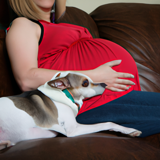 Comment les chiens se comportent-ils lorsque vous êtes enceinte ?