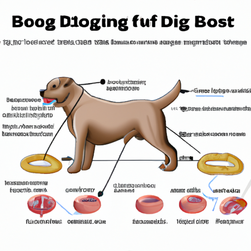 how do dogs get bloat