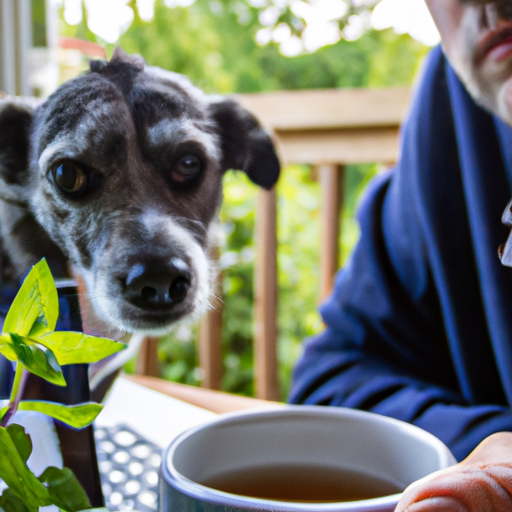 Quanta menta piperita è tossica per i cani?