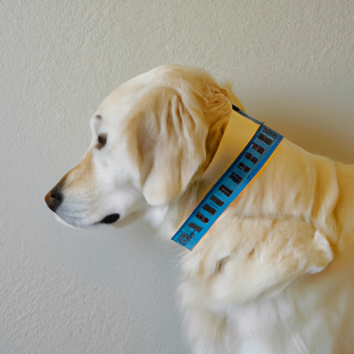 How to Measure Your Dog’s Neck: A Comprehensive Guide