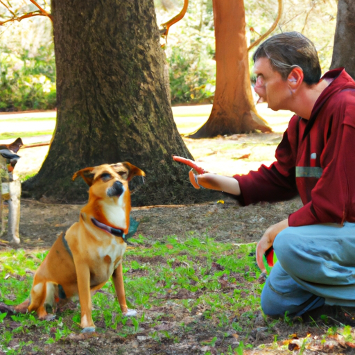 how to train your dog not to bark at other dogs