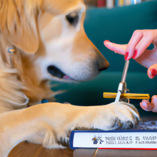 how to trim dogs nails at home