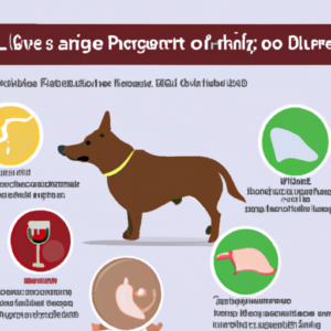 what causes enlarged liver in dogs - One Top Dog