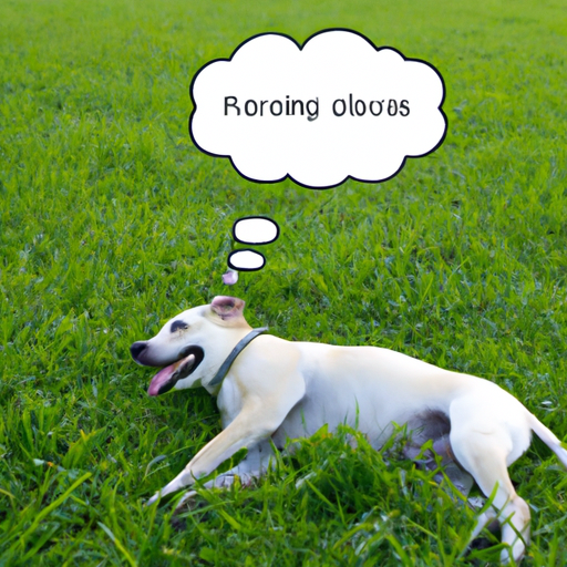 What Does Grass Do for Dogs?