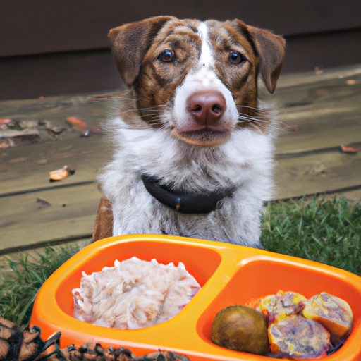 What Food Helps Dogs Poop