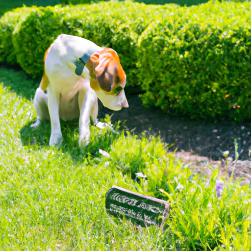 Che erba mangiano i cani? La guida definitiva al consumo della flora canina