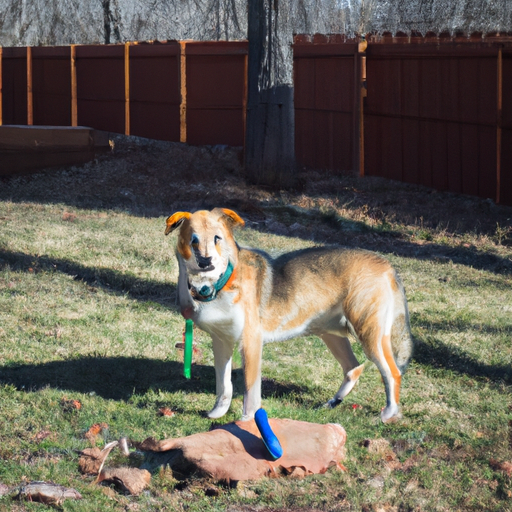 Understanding the Concept of a Tie Out for Dogs