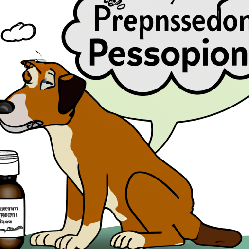 Comprender el uso de prednisona en perros