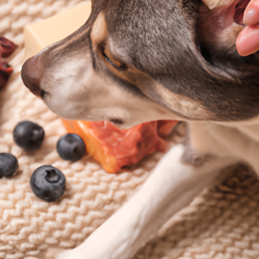 what to feed dogs with itchy skin