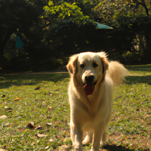 **Quand les chiens remuent la queue : derrière le mouvement du poil**