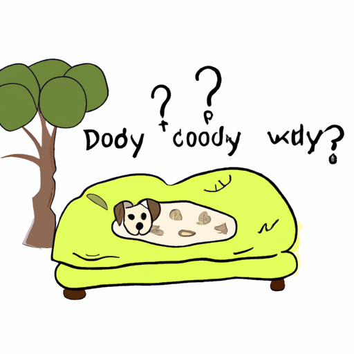 Where Should Dogs Sleep: An In-depth Guide