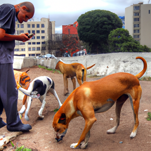 La guía definitiva sobre a quién llamar en caso de perros callejeros