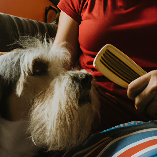 Why Do Dogs Groom Humans?