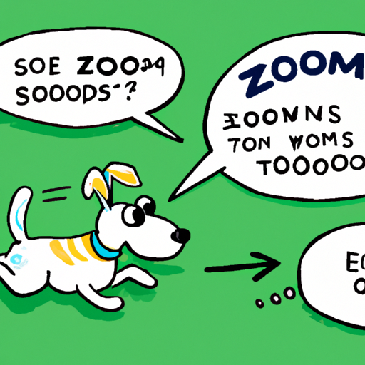 why do dogs have zoomies