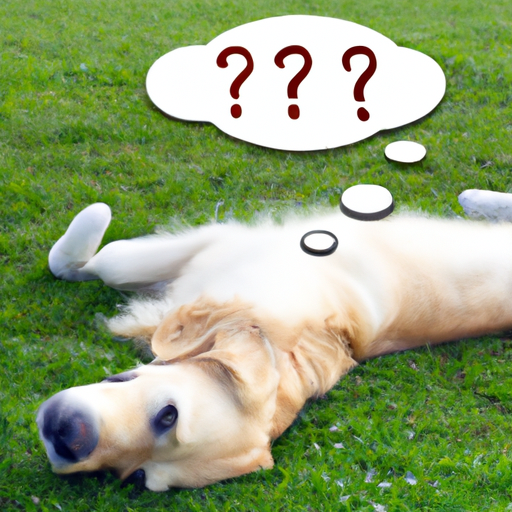 Why do Dogs Lay Upside Down?