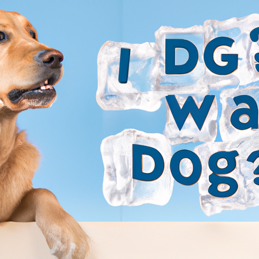 why do dogs like ice