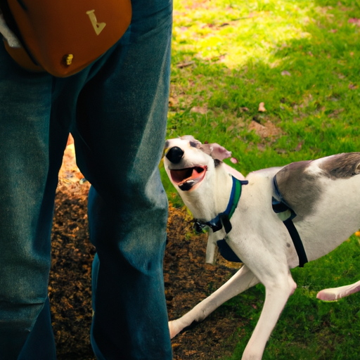 Why Do Dogs Sniff Human Bottoms