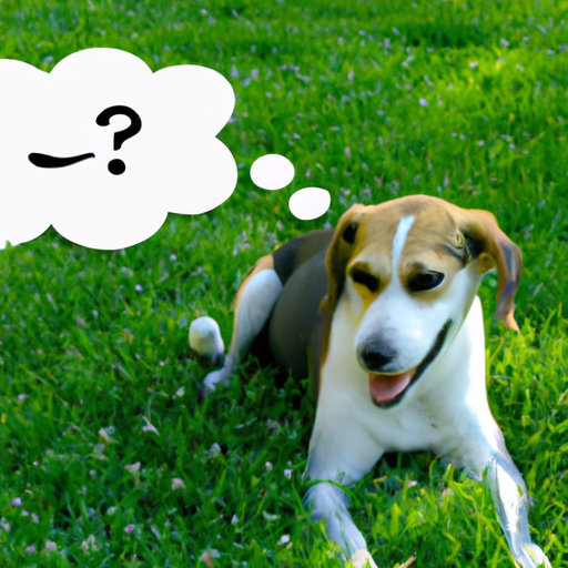 Why Do Dogs Want to Eat Grass?